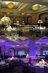 AllStar Entertainment & UpLighting - 6