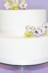 Sweet Delights Wedding Cakes - 5