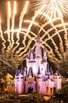 Disney's Fairy Tale Honeymoons - 7