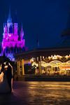 Disney's Fairy Tale Honeymoons - 3