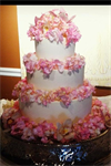 Sweet Carolines Cakes - 4