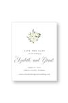 Paper & Posh - Wedding Invitations and Stationery - 4