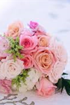 Weddington Floral - 3
