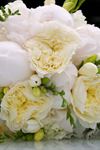 Lace and Peonies Floral Design - 3