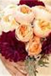 Princeton Floral & Wedding World - 1