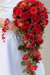 The Bridal Florist - 5