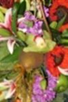 Crystal Orchid Florist - 6