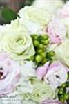 Rose Petal Wedding - 1