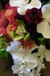 Severna Flowers & Gifts - 5