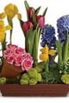 Poppy & Bloom Floristry - 5