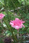 Flower Forest Botanical Gardens - 7