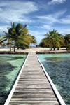 Royal Belize - 2