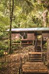 Copal Tree Lodge - 7