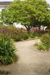Old Whaling Station Historic Adobe And Gardens - 6
