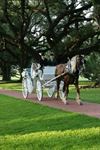 Oak Alley Plantation - 7