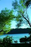 Barren River Lake State Resort Park - 4