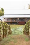 Hidden Vineyard Wedding Barn - 7