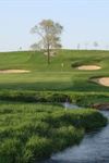 The Oaks Golf Course - 6