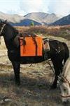 Alaska Horsemen Trail Adventures - 5
