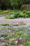 Alaska Botanical Garden - 7