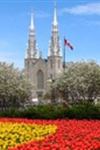 Notre-Dame Cathedral Basilica - 1