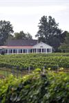 White Rock Vineyard, Winery and Brew - 1