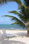 Ramada Grand Caymanian Resort - 5