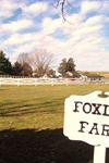 Foxley Farm - 1