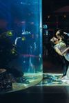 South Carolina Aquarium - 5