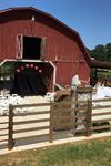 The Barn at Dry Creek Farms - 3