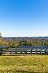 Weddings at Cabin Bluff - 5