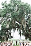 The Oaks Plantation - 2
