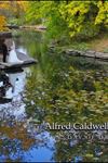 Alfred Caldwell Lily Pool - 7