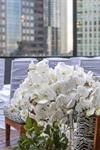 Cambria Chicago Magnificent Mile/52Eighty Rooftop Lounge - 4