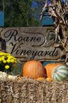 Roane Vineyards - 5