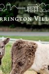 Fearrington Village - 3