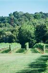Stonington Vineyards - 3