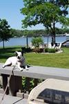 Lighthouse Lodge B And B on Lake Shafer - 3