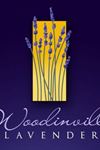 Woodinville Lavender - 1
