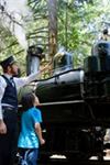Roaring Camp Railroads - 5