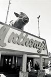 Anthony's Steakhouse - 6