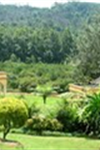 Maro Gardens - 2