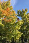 Kortright Centre for Conservation - 2