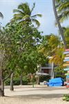 Bolongo Bay Beach Resort - 2