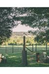 Carolina Country Weddings and Events - 2