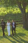 Shelburne Vineyard - 6