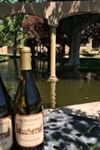 Casa Rondena Winery - 6