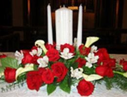 Flowers at Daisies, in Sterling Heights, Michigan