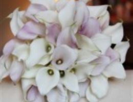 Petals Florist, in Peabody, Massachusetts