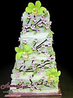 Annettes Cakes And Cake Supplies, in Orlando, Florida